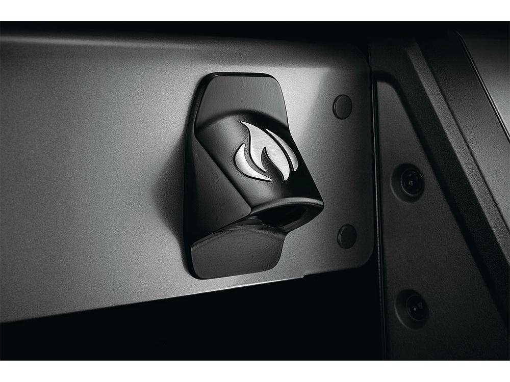 Napoleon Freestyle 365 mit SIZZLE ZONE und Tür, Graphit F365SDIBPGT-DE
